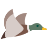 Happy Duck logo